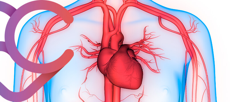 Imagem Doenças da orta